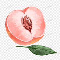 抖音9.1APP应用
